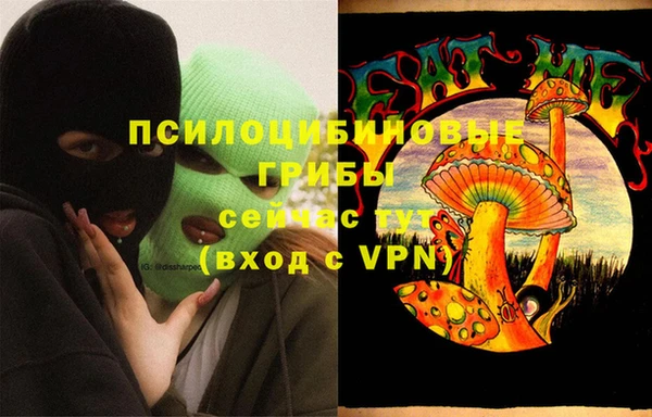синтетический гашиш Новозыбков