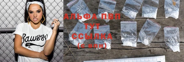 гашик Нея